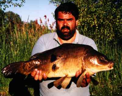 fish2.jpg