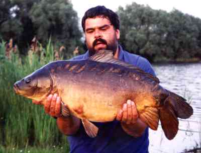 fish1.jpg